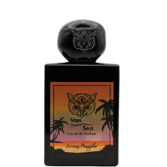 Lorenzo Pazzaglia Van Sea Extrait Lorenzo Pazzaglia